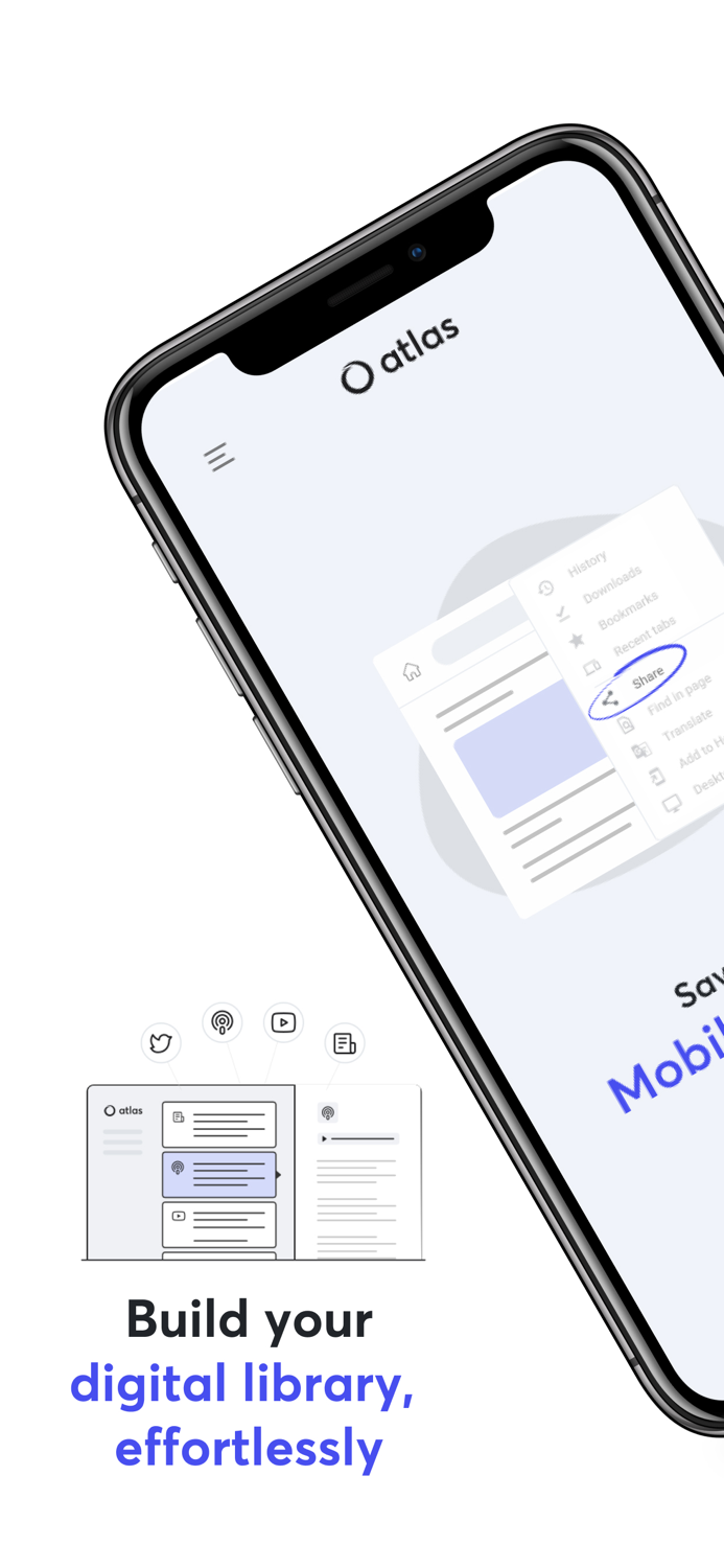 Atlas Knowledge Curation