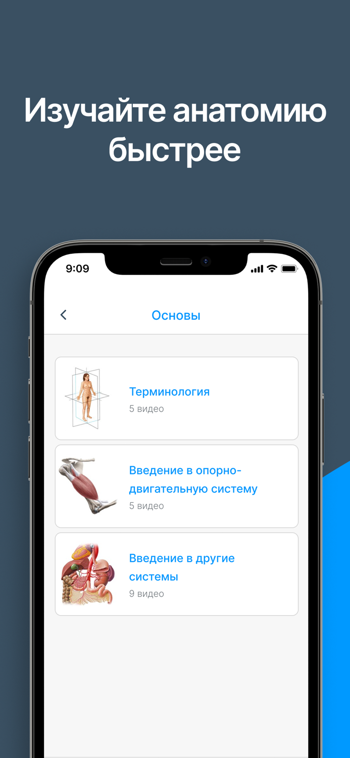 Kenhub Анатомия