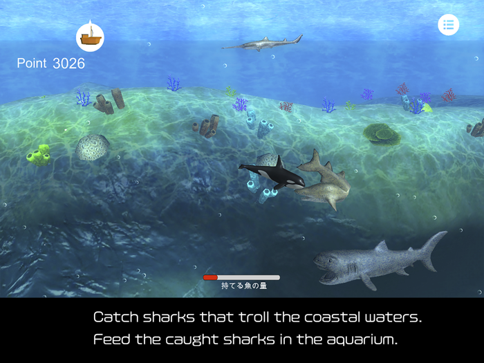 Orca  and marine mammals