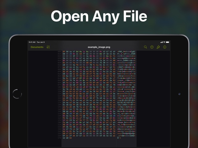 Hexer — Hex File Viewer截图