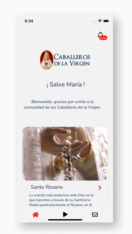 Caballeros de la virgen screenshot-4