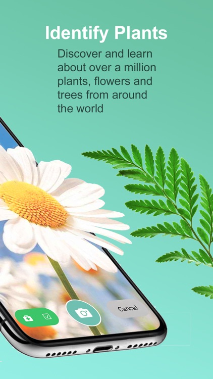Plantility - Identify Plants