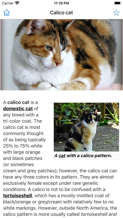 Encyclopedia of Cats