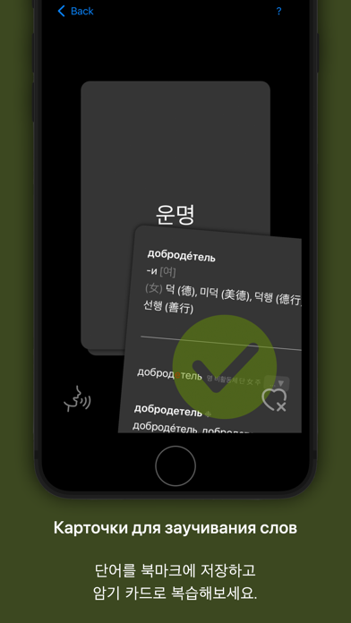 KoRusDic Pro 한러/러한 7-... screenshot1