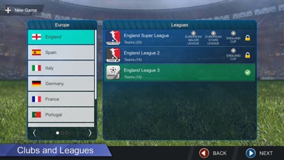 ProLeagueSoccer