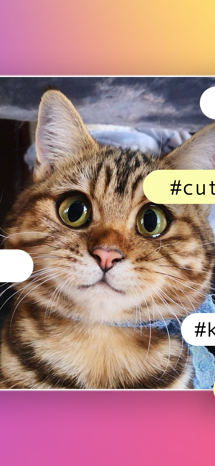 AI Hashtag for Instagram