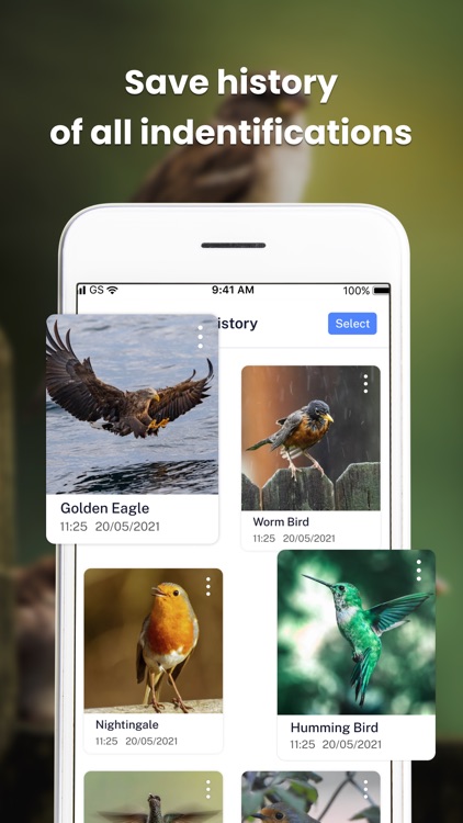 Bird Identifier - Find Bird screenshot-3