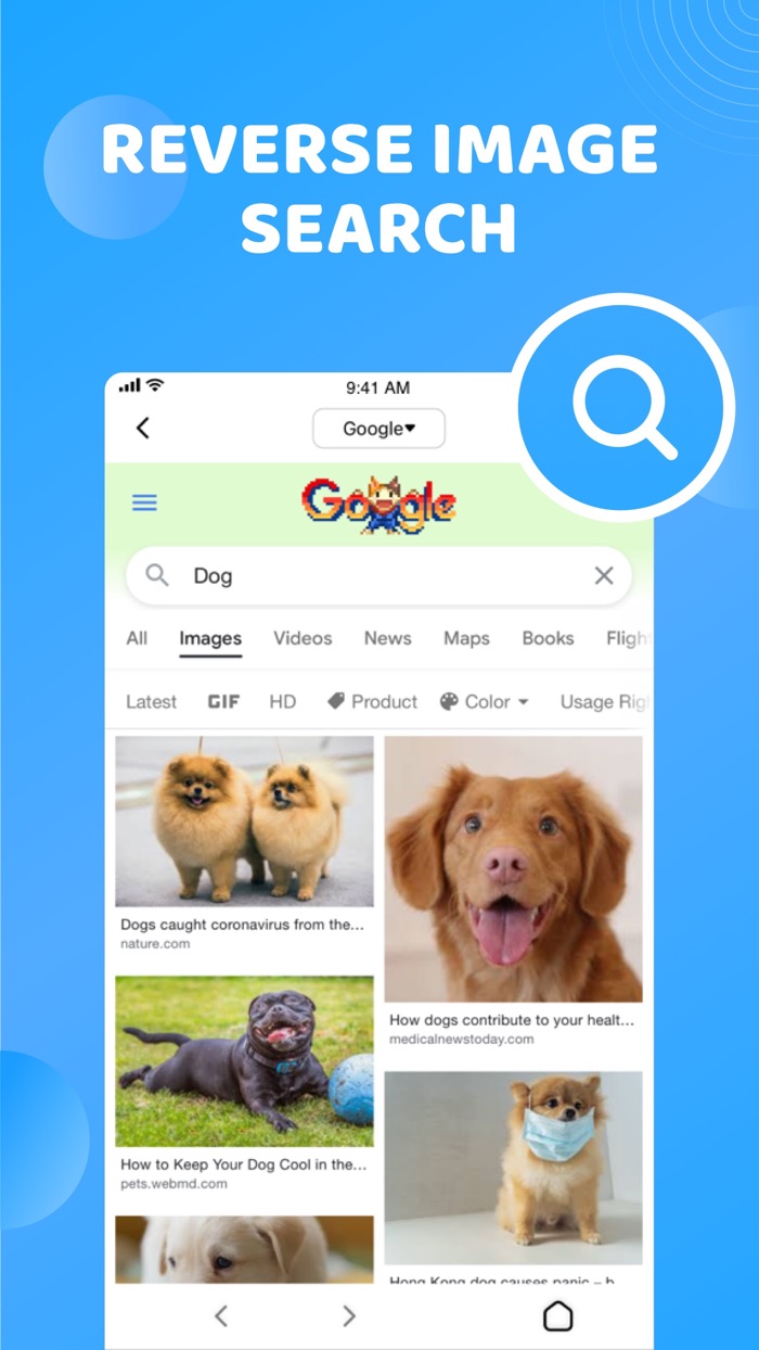 Reverse Image Search