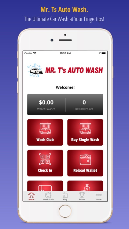 Mr. T's Auto Wash