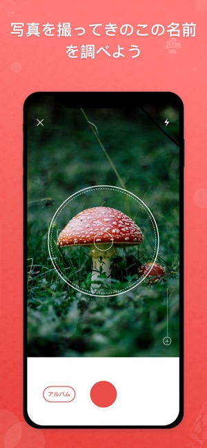 Picture Mushroom 1秒キノコ図鑑 をapp Storeで