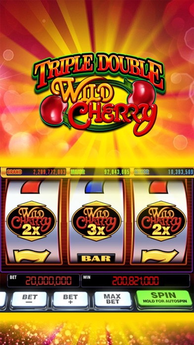 Double Rich！Vegas Casino Slots screenshot 2