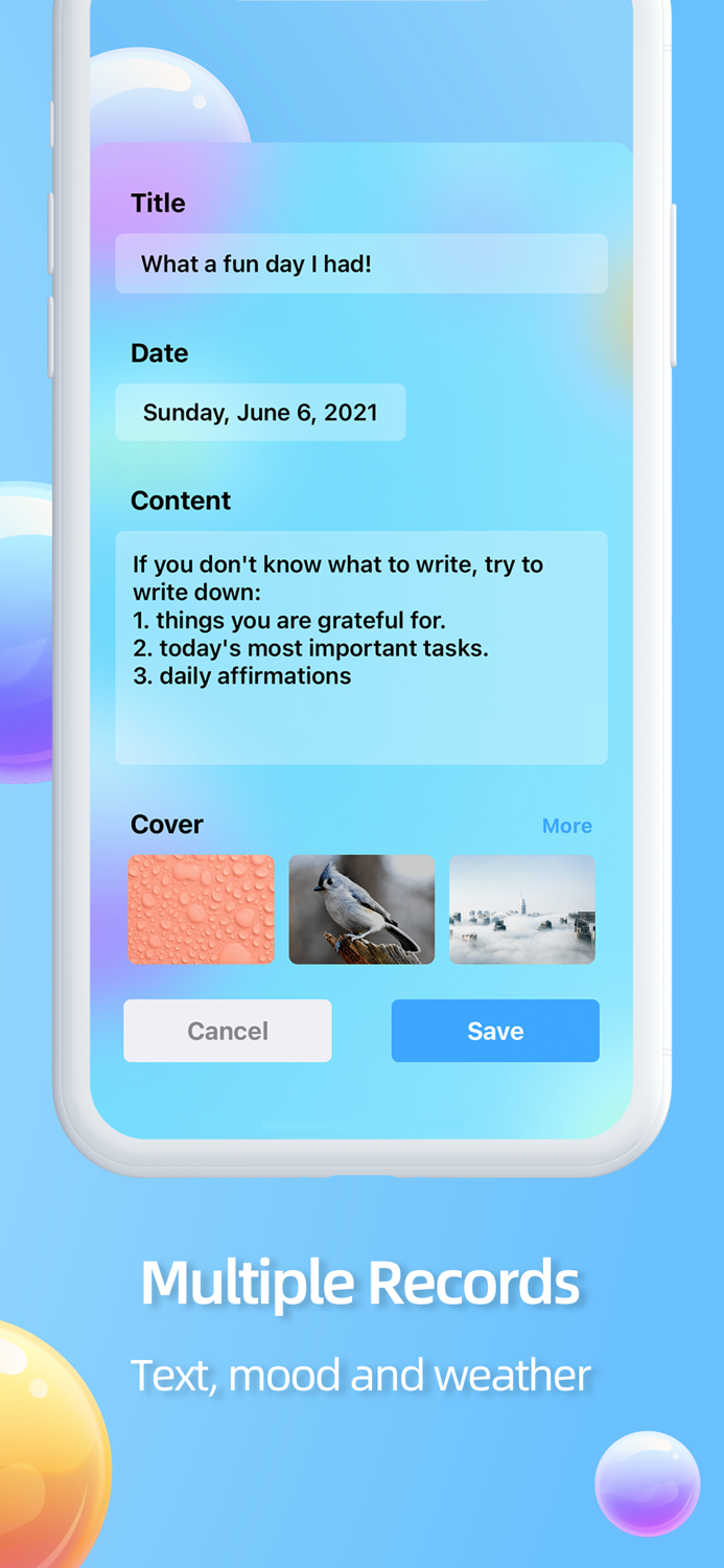 Pocket Diary - Moods  Goals