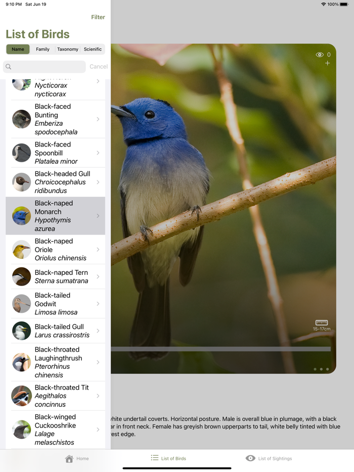 HKBirds Birds of Hong Kong