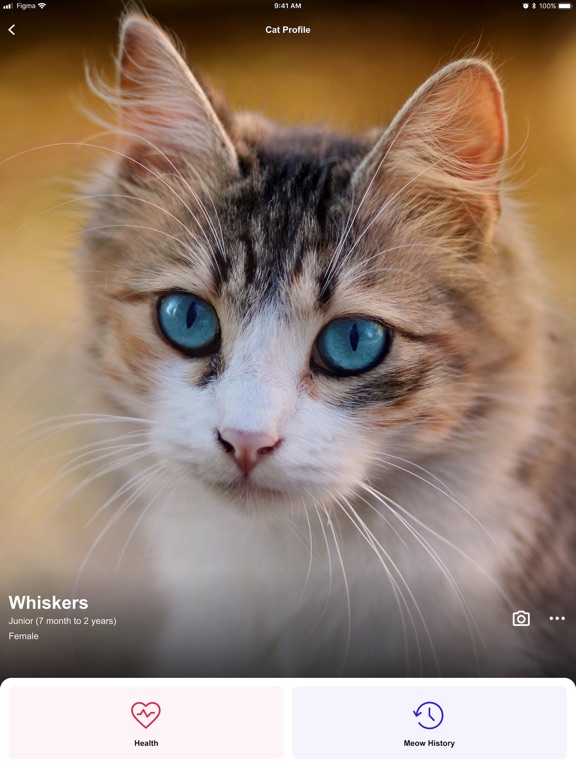 MeowTalk Cat Translator screenshot 3
