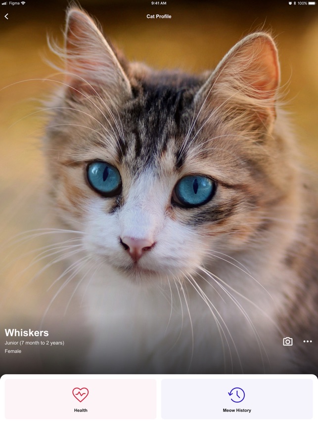 MeowTalk Cat Translator」をApp Storeで