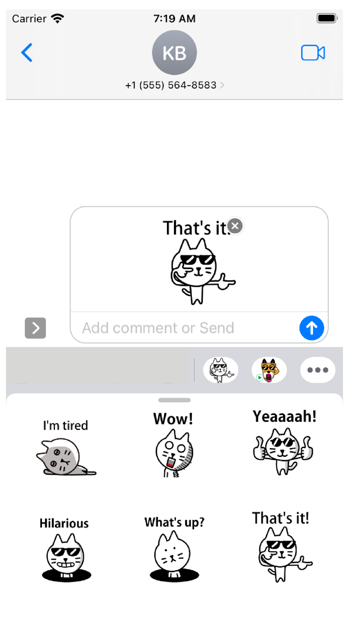 SHIROTAMA Cat 3 Sticker