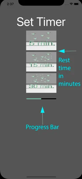 Game screenshot Nature Timer mod apk