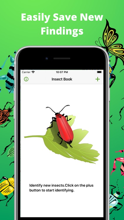 Bug identifier - Spider, Worm screenshot-3