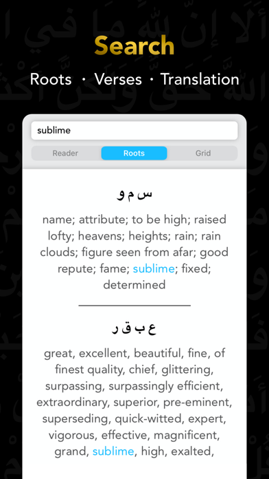 Quran Study Learn Word by Word screenshot 4