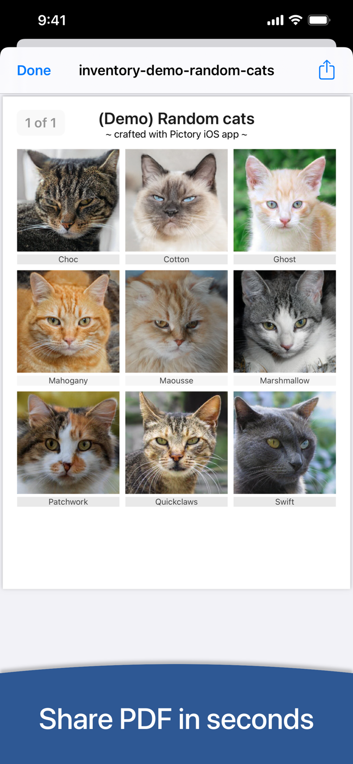 Photo Inventory with Pictory