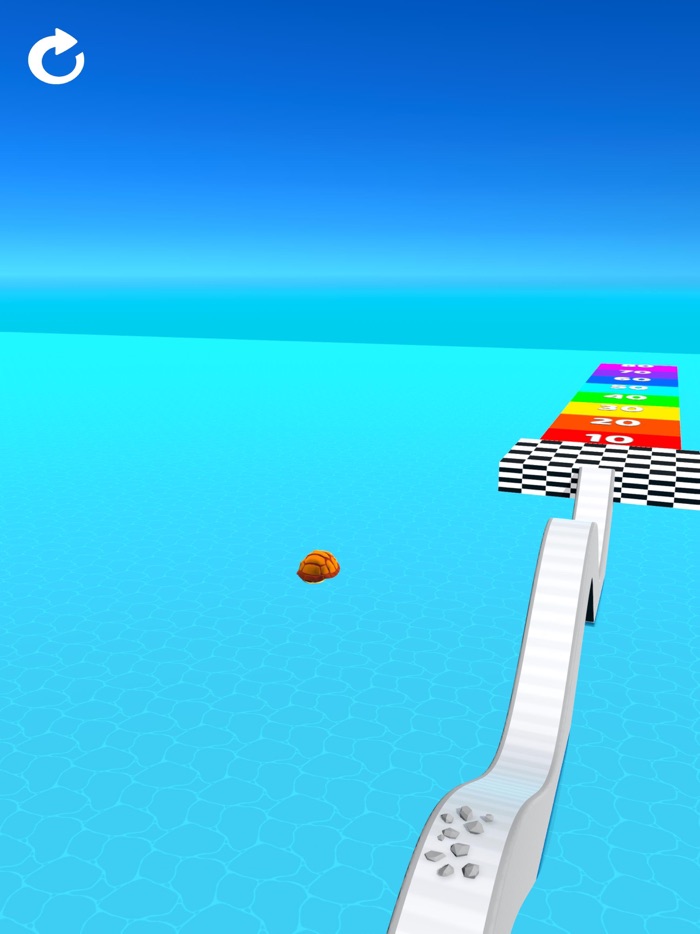 Turtle Race 3D