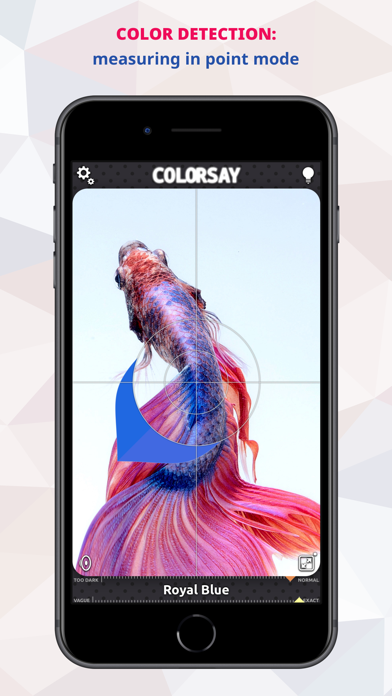 ColorSay • Color Scanner app screenshot 1 by White Marten GmbH - appdatabase.net