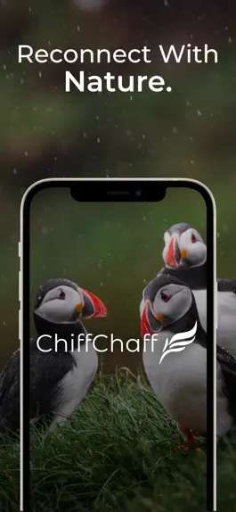 Game screenshot ChiffChaff mod apk