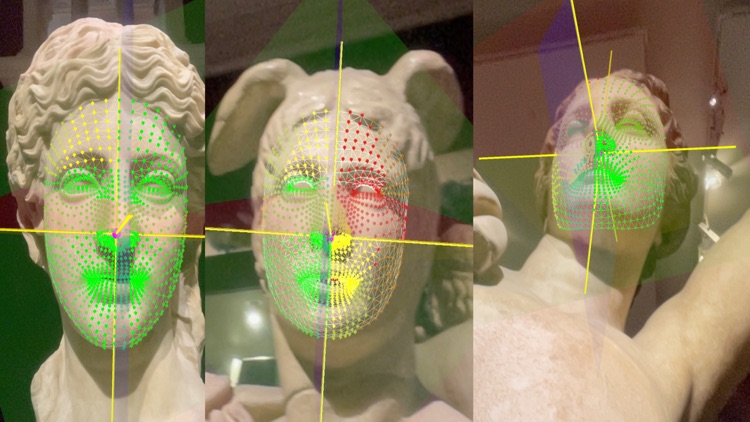Dynamic3DFaceAsymmetryApp screenshot-3