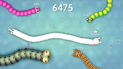 Snakeio Screenshot 5