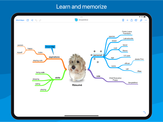 SimpleMind - Mind Mapping screenshot 2