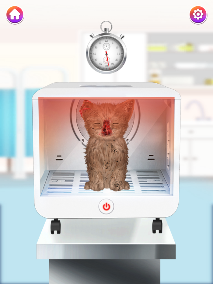 Cat ASMR Salon Makeover