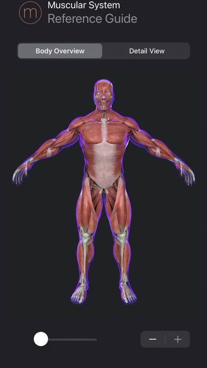 Muscle Study Guide screenshot-4