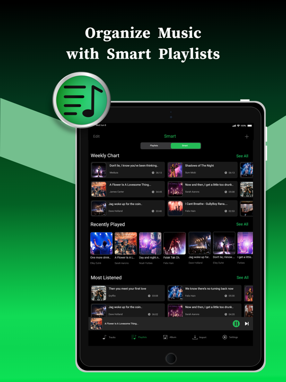 Offline Music Player screenshot 3