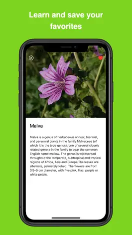 Game screenshot FF - Flower Finder apk