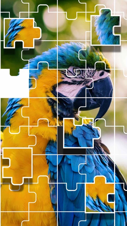 Jigsaw Puzzle : Brain Test by HK ZHENYANG PRECISION TECHNOLOGY CO., LIMITED