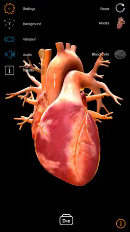 Game screenshot TheHeartPhysiologyApp mod apk