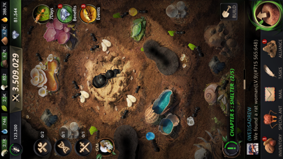 The Ants: Underground Kingdom The Ants: Underground Kingdom