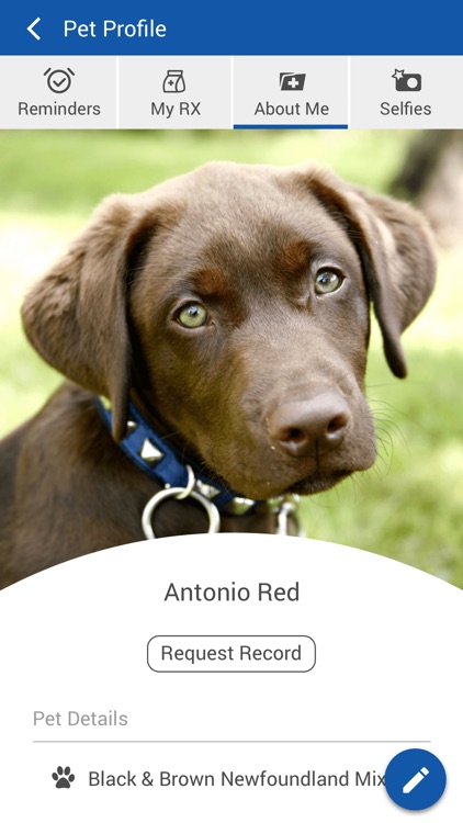 South Wairarapa Vets