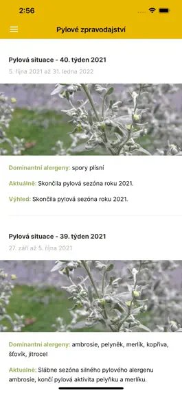 Game screenshot pyly.cz mod apk