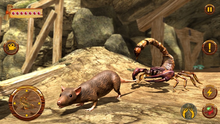 Black Scorpion Insect Life