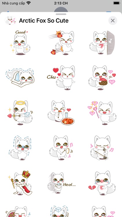 Arctic Fox So Cute screenshot-4