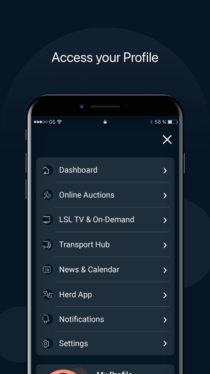 LSL Auctions App