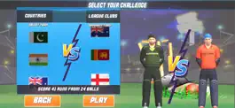 Game screenshot World T20 Cricket Championship mod apk