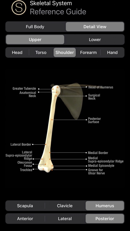 Human Anatomy Study Guide