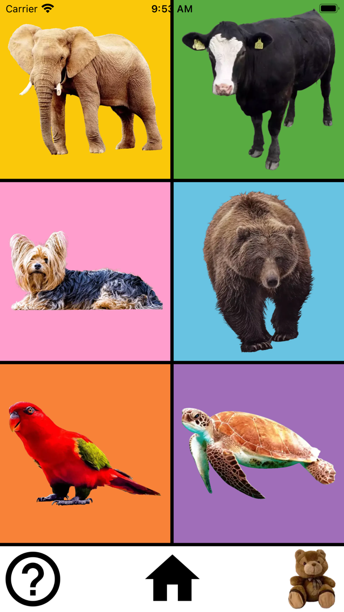 First Words Baby Flashcards UK