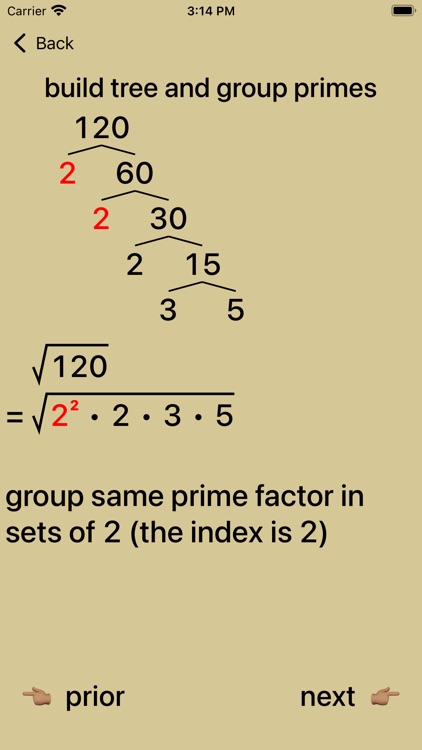 20/20 Radical Simplification screenshot-4