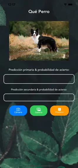 Game screenshot Qué Perro apk