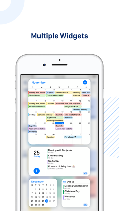 Tiny Calendar Pro Screenshot