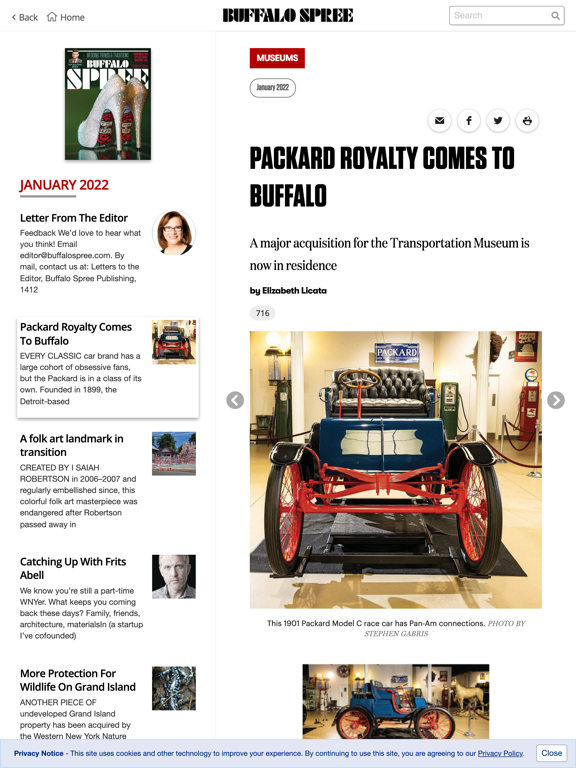 Buffalo Spree Magazine screenshot 3