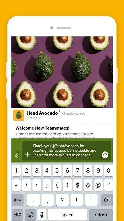 Team Avocado